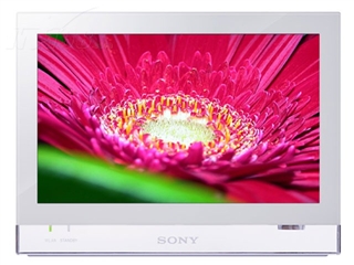 SONY VGF-CP1C