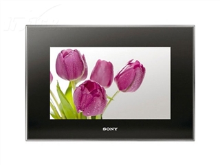 SONY DPF-V1000(1GB)