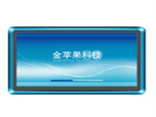 apop AP1600