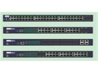 中兴 ZXR10 5224(DC)