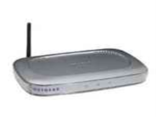 NETGEAR WGE101
