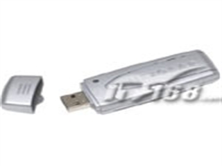 NETGEAR WG111T