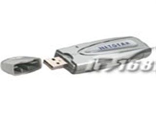 NETGEAR WG111