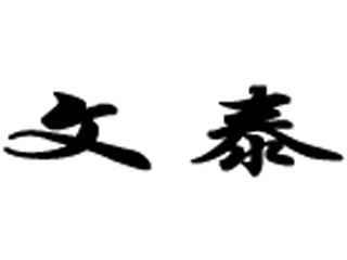 文泰 三维激光雕刻软件(含印章)