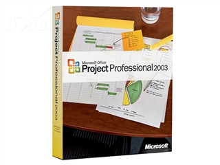 Microsoft Project 2003(中文标准版)