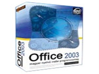 Microsoft Office 2003(专业升级版)