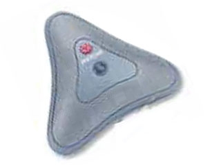 POLYCOM VSX系列麦克风