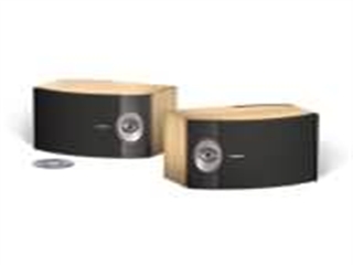 BOSE 301