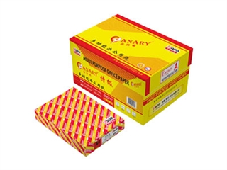 金丝雀 特级 80g(A4 10包/箱)
