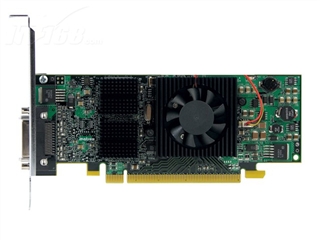 MATROX QID LP PCIe