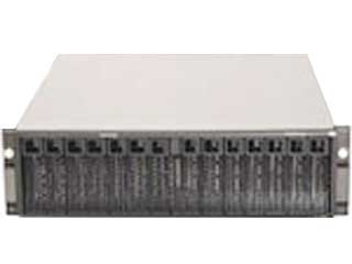 IBM TotalStorage DS4300