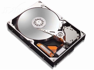 Maxtor 146GB/10K/80针(ST3146807LC)