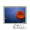��Ļ���� Film Screen(50