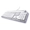 ����PLEOMAX PKB-7000X���ۡ�ͼƬ