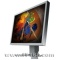 Һ����ʾ��EIZO FlexScan S2100���ۡ�ͼƬ