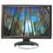 Һ����ʾ��Great Wall Z96���ۡ�ͼƬ