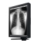 Һ����ʾ��EIZO RadiForce G31���ۡ�ͼƬ