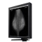 Һ����ʾ��EIZO RadiForce G51���ۡ�ͼƬ