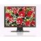 Һ����ʾ��imagic����� M220D���ۡ�ͼƬ