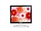 �ִ� ImageQuest X17 