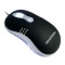 �¹�Ƽ� ���ӱ��Ӵ��MS-101 