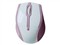 �¹� ���ɱ�����Ʒ(MS-153OR) 