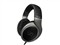 ɭ������ HD595 