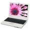 �ʼǱ����� A81 �PC(C75HW)���ۡ�ͼƬ