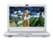 SONY VGN-TT23/W 