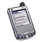 ���ϵ���Palm Tungsten W���ۡ�ͼƬ
