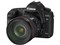 ����������� EOS 5D Mark II(��ͷ�׻�24-105)���ۡ�ͼƬ