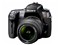 �������SONY a550(18-55mm ����ͷ�׻�)���ۡ�ͼƬ