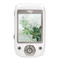 MP3������������ ���۾�F958(2G)���ۡ�ͼƬ