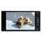 MP4��������ŵ S100(2G)���ۡ�ͼƬ