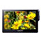 MP4������SONY PMX-M88���ۡ�ͼƬ