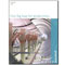 AUTODESK AutoCAD 2006 Ӣ�İ�