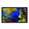 ������NEC PlasmaSync 50XP10���ۡ�ͼƬ