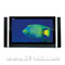 TCL L42H61F 