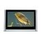 Һ������TCL LCD32B68���ۡ�ͼƬ