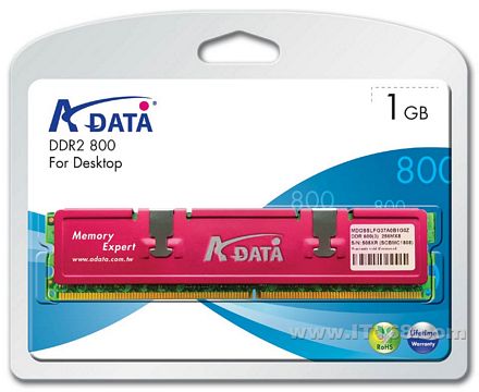 威刚 红色威龙1GB（PC2-6400/DDR2 800）内存图片
