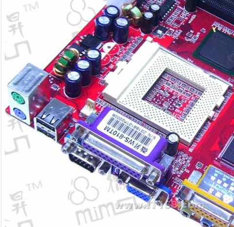 微昇 WS-810TM主板图片