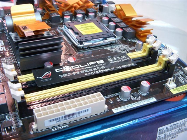 3221050.jpg