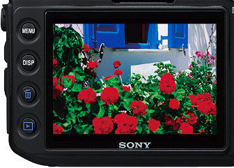 SONY a100数码相机图片