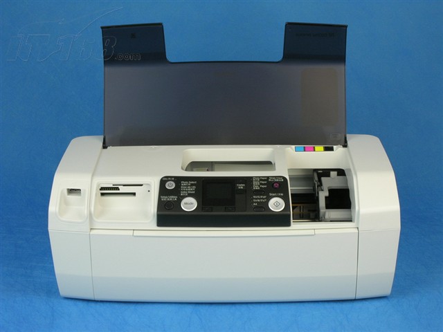 3954133.jpg