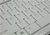 TCL 锐翔 CS8859-1