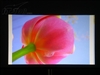 BenQ W500