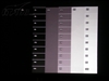 BenQ MP511+