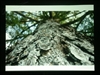 BenQ MP723