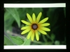 BenQ MP723