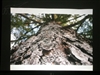 BenQ MP771